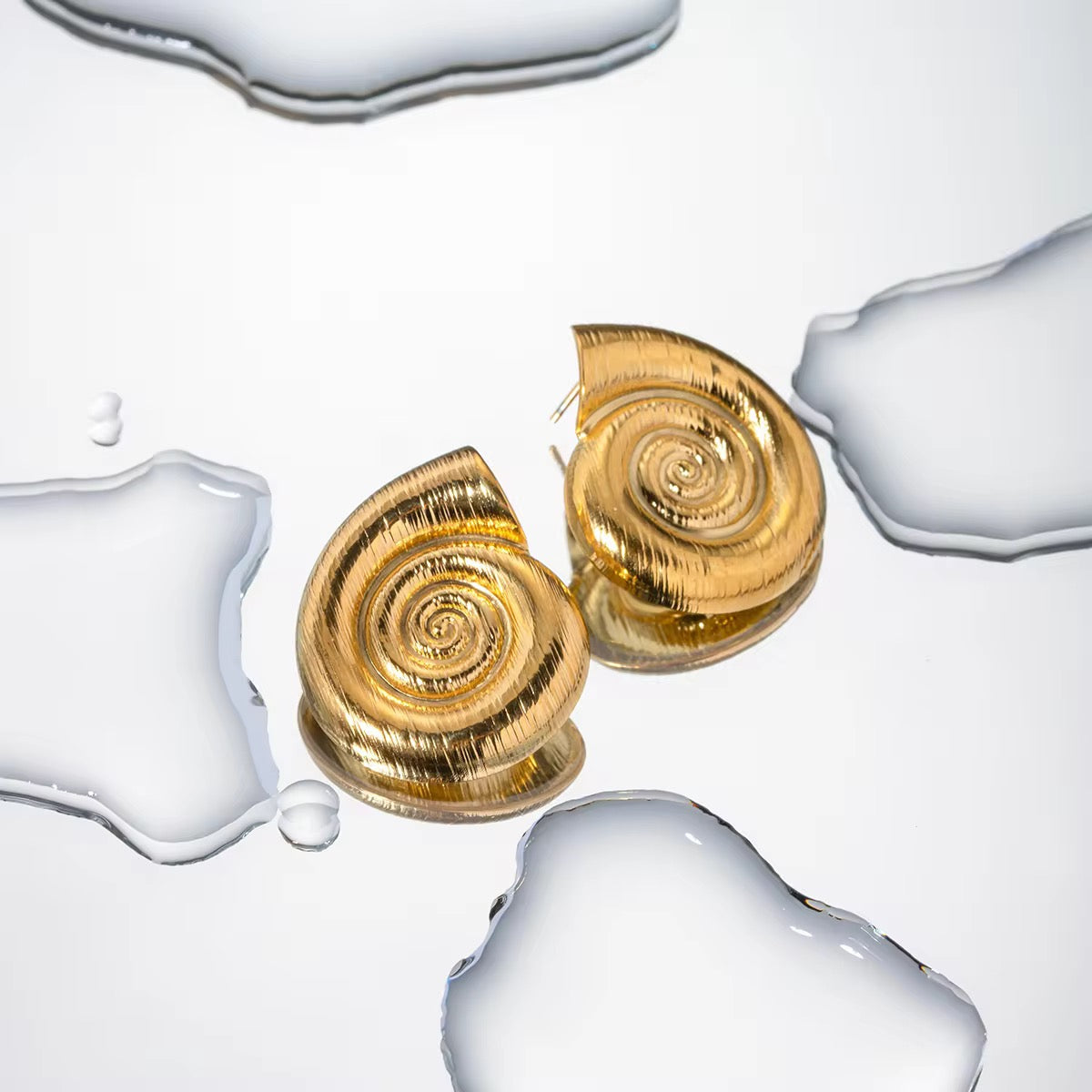 Shell earrings