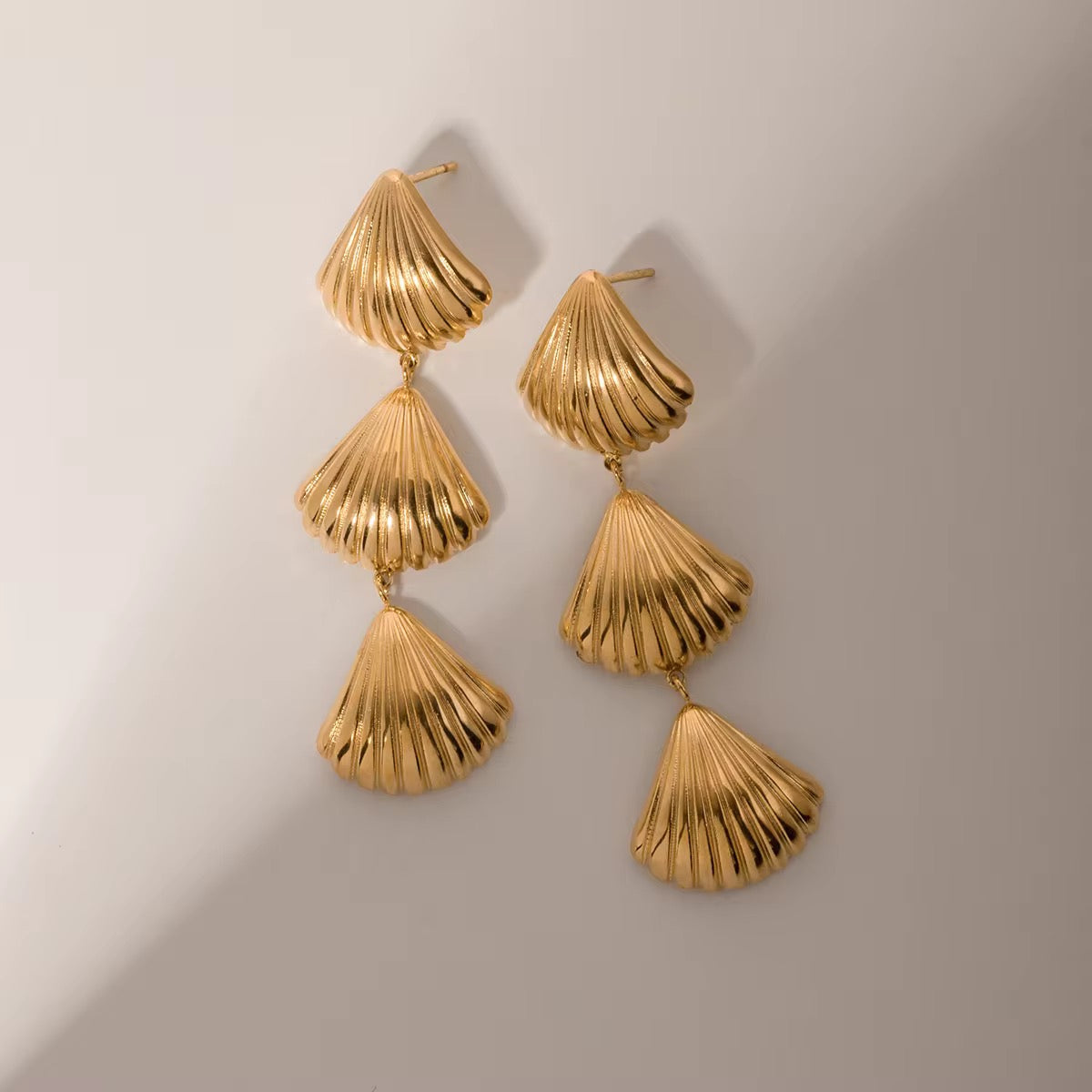 Ocean shells
